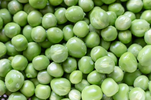 「ac 写真 グリーンピース」の画像検索結果