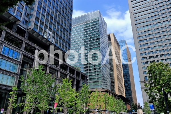 丸の内_4 丸の内_4の写真
