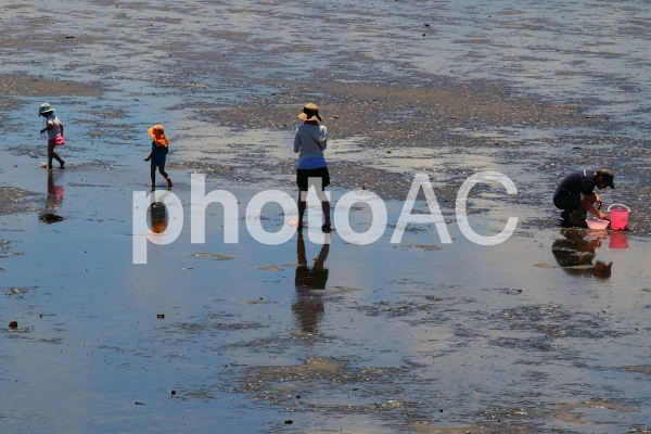 潮干狩り4 潮干狩り4の写真