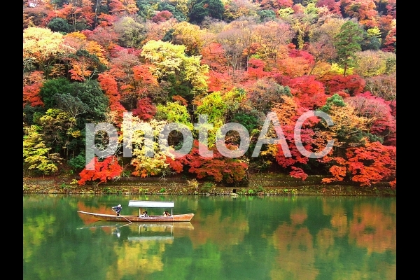京都嵐山の紅葉 京都嵐山の紅葉の写真