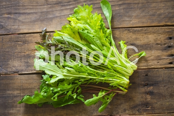 葉物野菜サラダ用 葉物野菜サラダ用の写真
