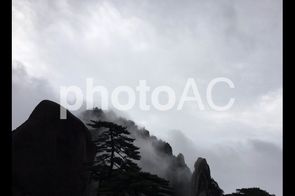 山 霧 山 霧の写真