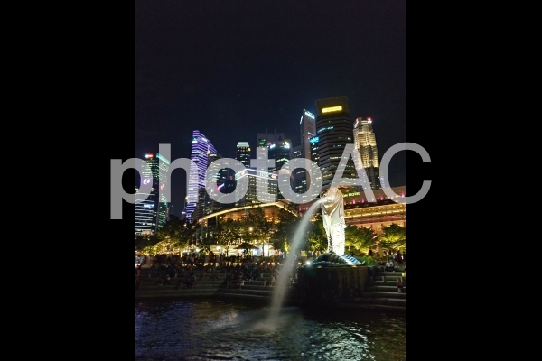 シンガポール 夜景 マーライオン マーライオン公園と高層ビル シンガポール 夜景 マーライオン マーライオン公園と高層ビルの写真