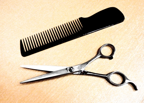 「ac 写真 櫛」の画像検索結果