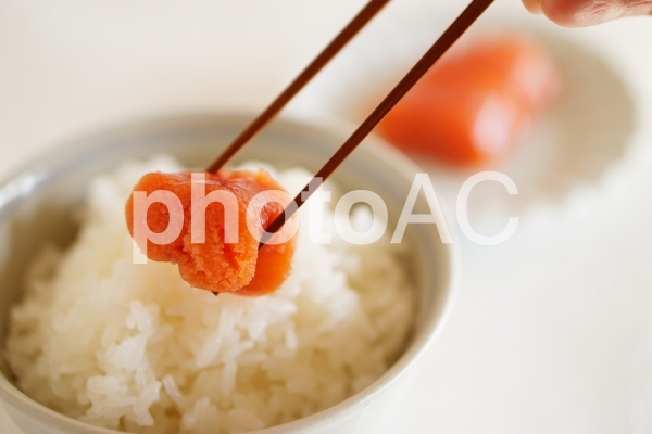 明太子ごはん 明太子ごはんの写真