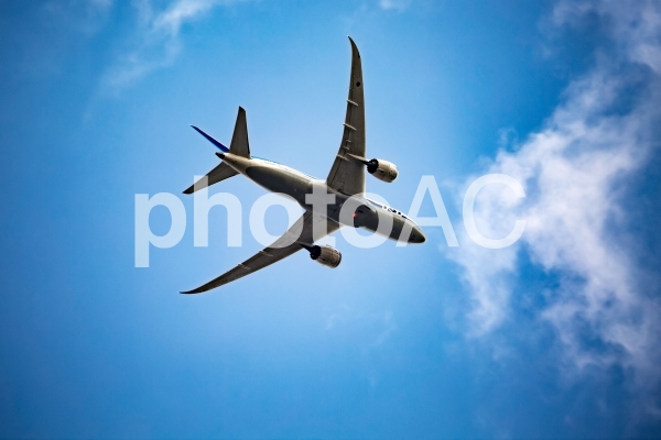 飛行機 飛行機の写真