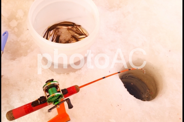 ワカサギ釣り ワカサギ釣りの写真