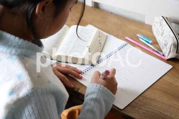 英語の宿題を勉強する小学生の女の子 英語の宿題を勉強する小学生の女の子の写真