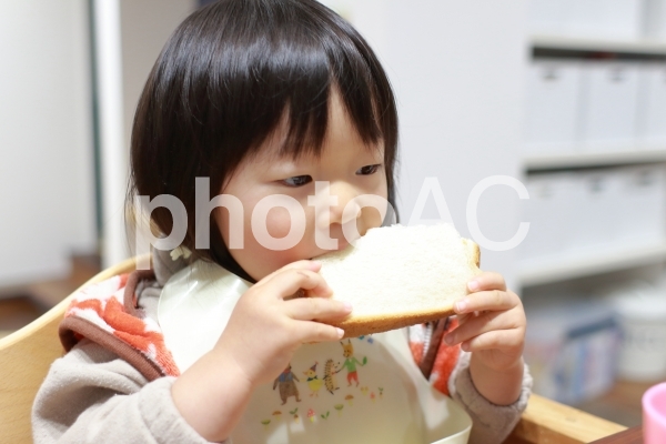 パンぱくぱく パンぱくぱくの写真