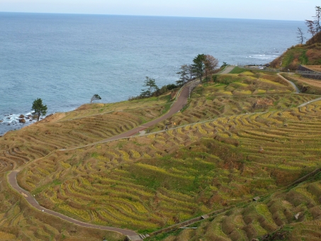 白米千枚田02