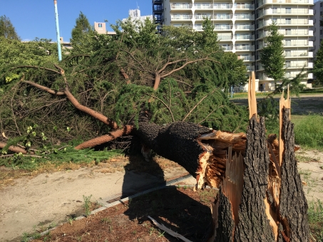台風被害の写真素材 写真素材なら 写真ac 無料 フリー ダウンロードok