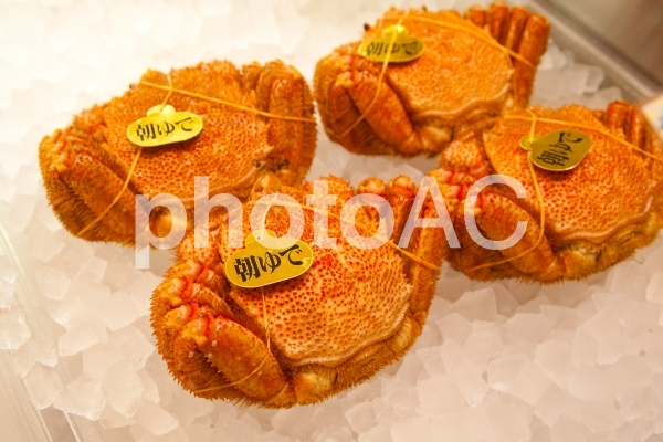 毛蟹販売2 毛蟹販売2の写真