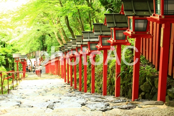 貴船神社02 貴船神社02の写真