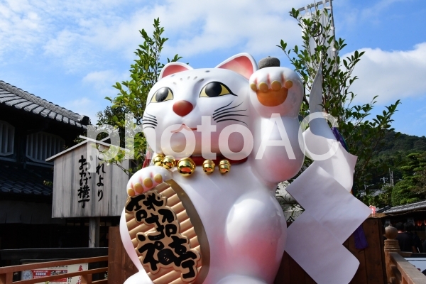 おかげ横丁 招き猫 おかげ横丁 招き猫の写真