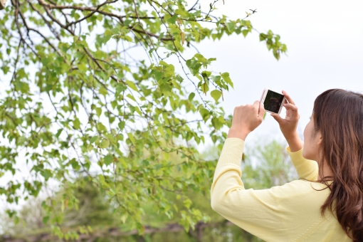 スマホカメラの写真素材 写真素材なら 写真ac 無料 フリー ダウンロードok