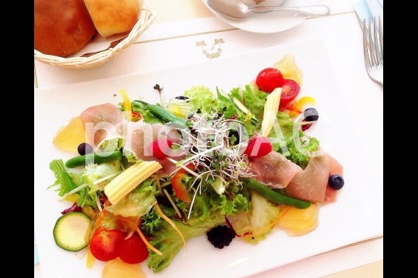 野菜サラダ 野菜サラダの写真