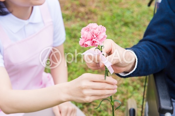 花を渡す車椅子の男性2 花を渡す車椅子の男性2の写真