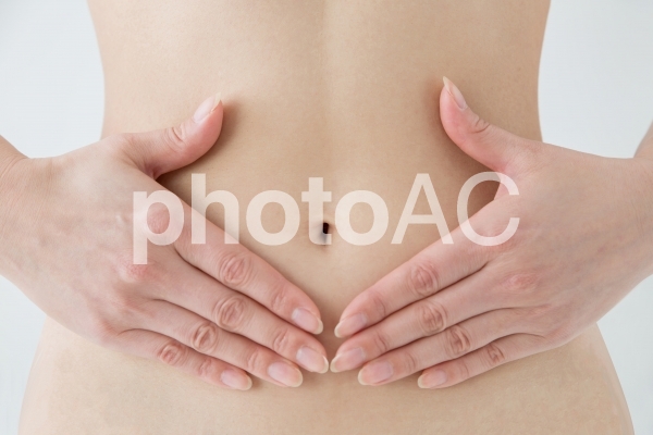 女性のお腹 女性のお腹の写真