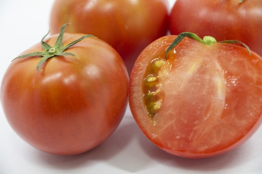 ãac åç ããããã®ç»åæ¤ç´¢çµæ