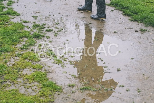 雨に濡れた地面14 雨に濡れた地面14の写真