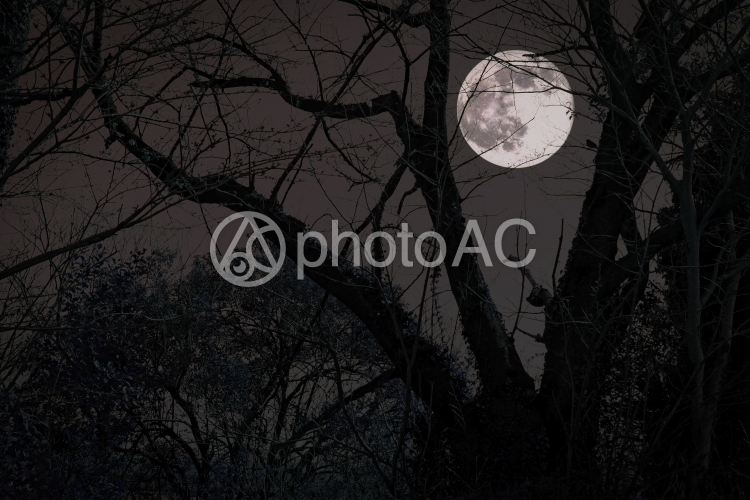 満月の怪しい夜空 ホラーイメージ背景 No 写真素材なら 写真ac 無料 フリー ダウンロードok