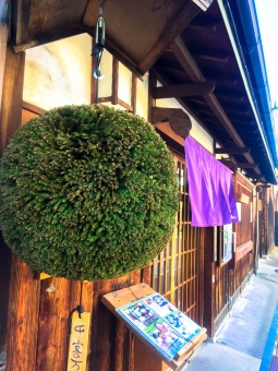 杉玉の写真素材 写真素材なら 写真ac 無料 フリー ダウンロードok