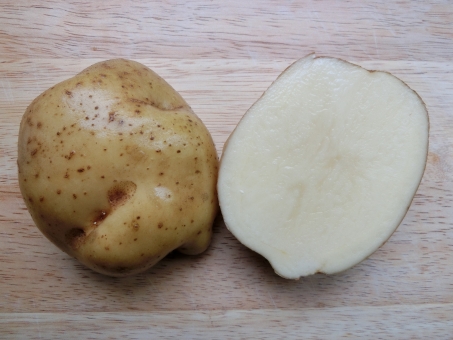 ãac åç ããããããã®ç»åæ¤ç´¢çµæ