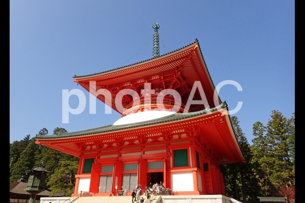 高野山・根本大塔2 高野山・根本大塔2の写真