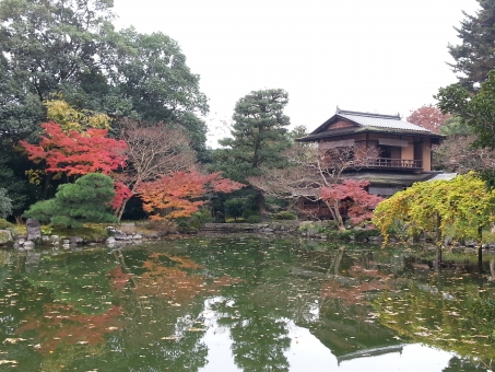 京都御苑・拾翠亭の紅葉