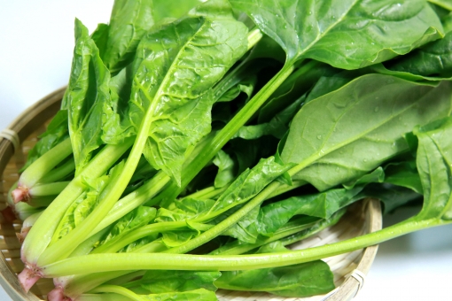 「ac 写真 ほうれん草」の画像検索結果
