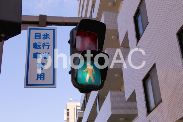 歩行者信号 歩行者信号の写真