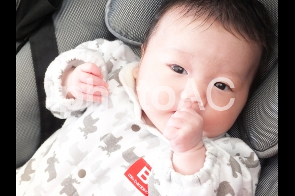 指しゃぶりする赤ちゃん 1 指しゃぶりする赤ちゃん 1の写真