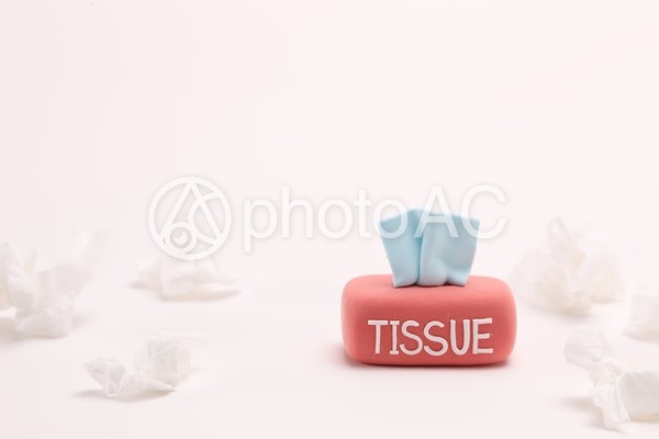 ティッシュ ティッシュの写真