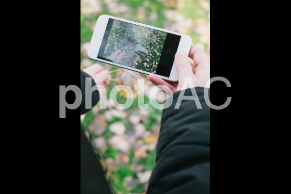 スマホで撮影55 No 写真素材なら 写真ac 無料 フリー ダウンロードok