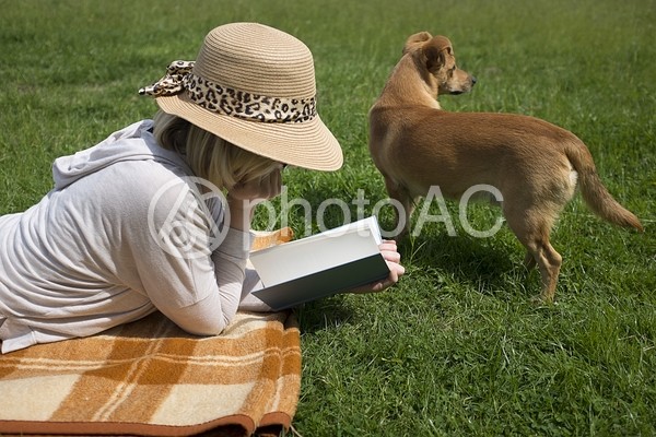 読書する女性17 読書する女性17の写真