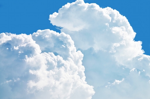 ãå¤ã®é²ã®ä¸­ãã®ç»åæ¤ç´¢çµæ