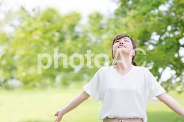 新緑の中の女性 新緑の中の女性の写真