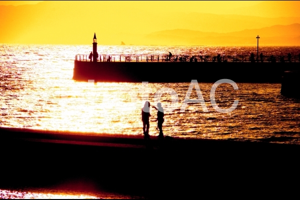 夕暮れの海辺1 夕暮れの海辺1の写真