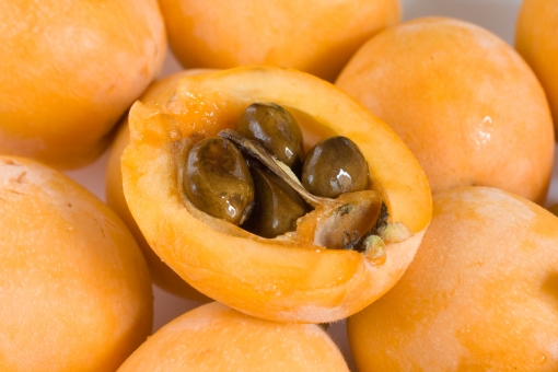 ãac åçããã¯ã®ç¨®ãã®ç»åæ¤ç´¢çµæ