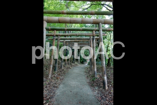 日本 京都 竹で出来た鳥居 伏見稲荷内 日本 京都 竹で出来た鳥居 伏見稲荷内の写真
