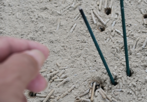 ãac åçãç·é¦é¢ãã®ç»åæ¤ç´¢çµæ