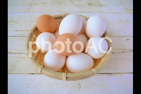 ニワトリの卵6 ニワトリの卵6の写真