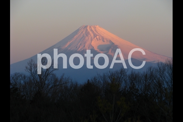 朝焼けの富士山 朝焼けの富士山の写真
