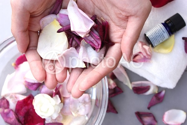 花びら 3 花びら 3の写真