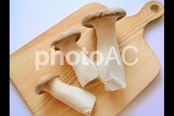 エリンギ5 エリンギ5の写真