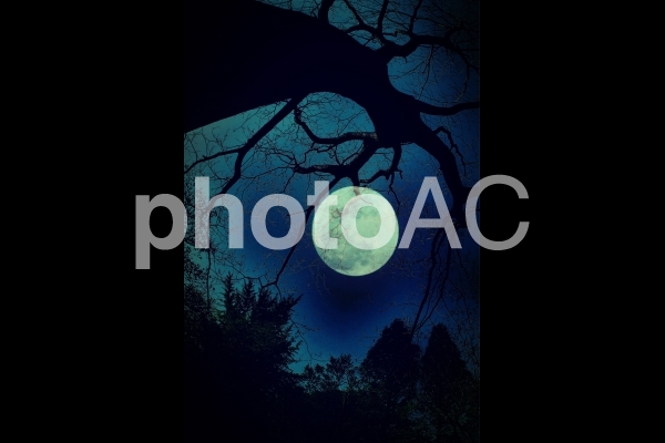 不気味で怪しい皆既月食 No 写真素材なら 写真ac 無料 フリー ダウンロードok