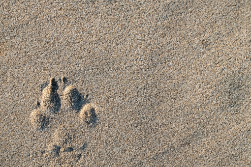 足の写真素材 写真素材なら 写真ac 無料 フリー ダウンロードok