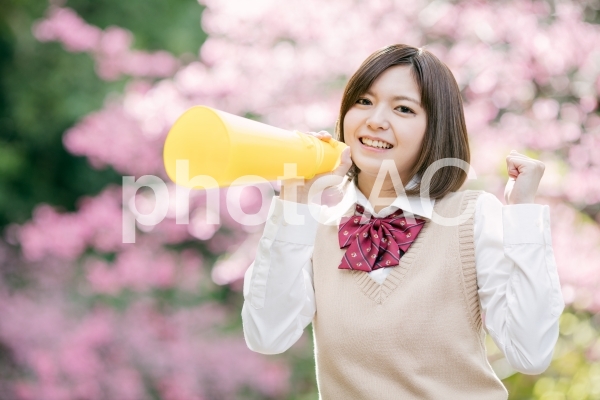 新社会人 新生活応援 新社会人 新生活応援の写真