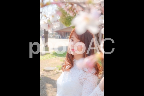 桜と女性 桜と女性の写真