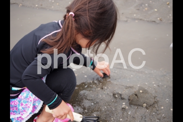 潮干狩りをする女の子 潮干狩りをする女の子の写真
